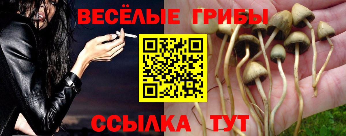 Галлюциногенные грибы GOLDEN TEACHER  Вход с VPN  купить наркотик  Новошахтинск  Галлюциногенные грибы мухоморы 
